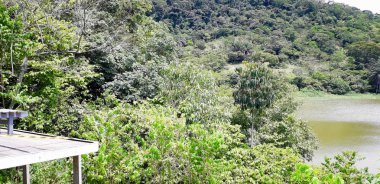 Nehirde bir florest üzerinde Itamatamirim, iç Pernambuco, Brezilya.