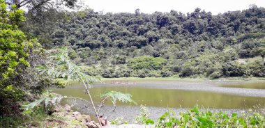 Nehirde bir florest üzerinde Itamatamirim, iç Pernambuco, Brezilya.