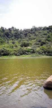 Nehirde bir florest üzerinde Itamatamirim, iç Pernambuco, Brezilya.