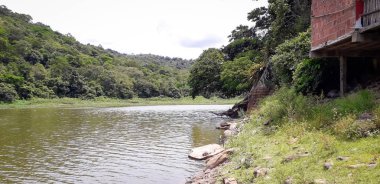 Nehirde bir florest üzerinde Itamatamirim, iç Pernambuco, Brezilya.