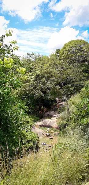 Florest sur Itamatamirim, intérieur du pernambuco, Brésil . — Photo