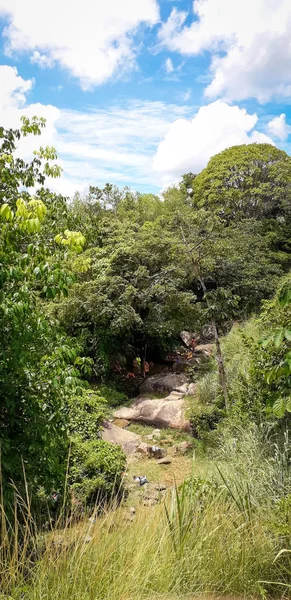 Florest sur Itamatamirim, intérieur du pernambuco, Brésil . — Photo