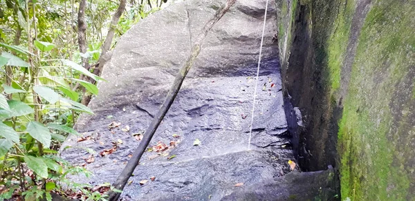 Snake on street in the middle of a florest on Itamatamirim, interior pernambuco, Brazil . — Stok Foto