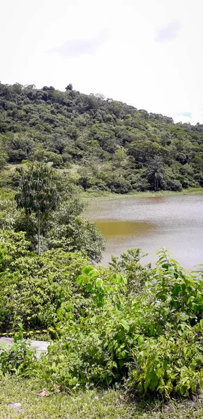 Fluss auf florest auf itamatamirim, im Inneren von Pernambuco, Brasilien. — Stockfoto