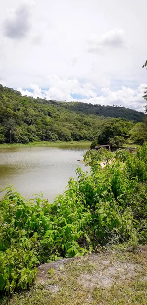 Itamatamirim、ペルナンブコ、ブラジルの内部に florest の川. — ストック写真