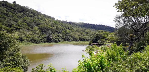 Itamatamirim、ペルナンブコ、ブラジルの内部に florest の川. — ストック写真