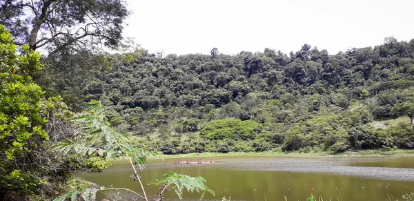 Fluss auf florest auf itamatamirim, im Inneren von Pernambuco, Brasilien. — Stockfoto
