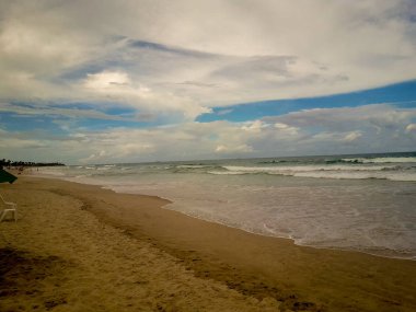 Beyaz kumlu plaj Porto de Galinhas, Pernambuco, Brezilya, Hindistan cevizi palmiye ağaçlarının.