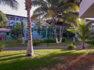 Avuç içi ve ağaçlar Brezilya düz Resort.