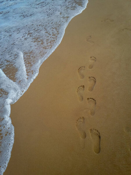 Closeup detail of a female foot on the beach.