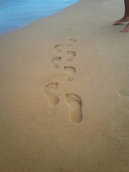 Woman walking on sand beach leaving footprints in the sand. Closeup detail of female feet at Brazil. Royalty Free Stock Images