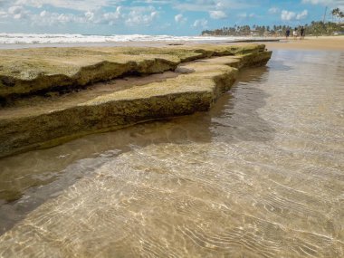 Tropikal deniz su doku yansımaları Brezilya.