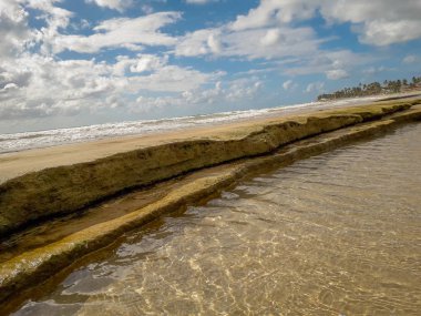 Tropikal deniz su doku yansımaları Brezilya.