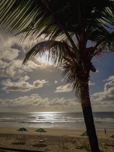 Palmeras de coco en la playa de arena blanca en Porto de Galinhas, Pernambuco, Brasil . — Foto de Stock