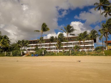 Beyaz kumlu plaj Porto de Galinhas, Pernambuco, Brezilya, Hindistan cevizi palmiye ağaçlarının.