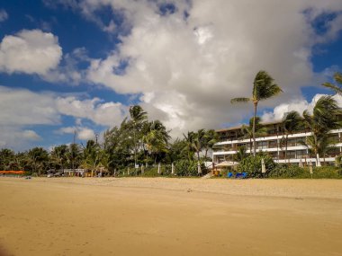 Beyaz kumlu plaj Porto de Galinhas, Pernambuco, Brezilya, Hindistan cevizi palmiye ağaçlarının.