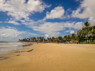 Beyaz kumlu plaj Porto de Galinhas, Pernambuco, Brezilya, Hindistan cevizi palmiye ağaçlarının.