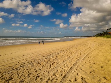 Beyaz kumlu plaj Porto de Galinhas, Pernambuco, Brezilya, Hindistan cevizi palmiye ağaçlarının.