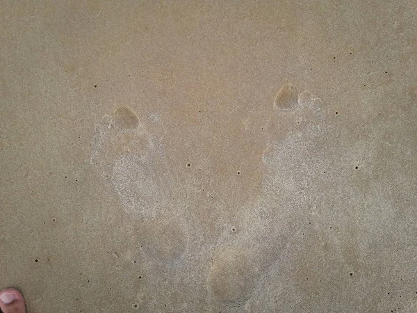 Woman walking on sand beach leaving footprints in the sand. Closeup detail of female feet at Brazil. — Stock Photo, Image