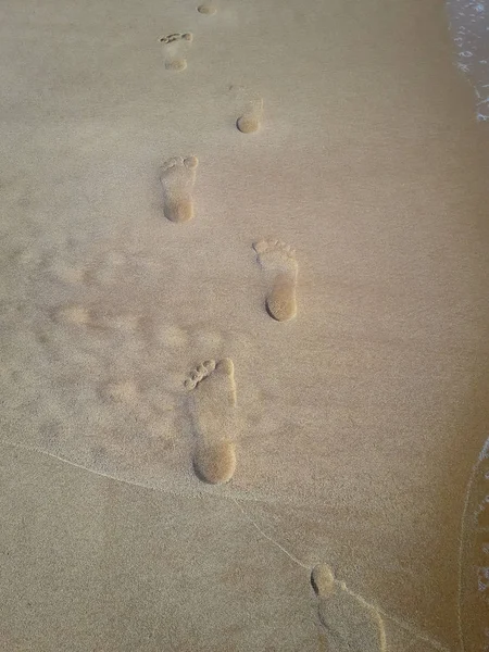 Woman walking on sand beach leaving footprints in the sand. Closeup detail of female feet at Brazil. — Stock Photo, Image