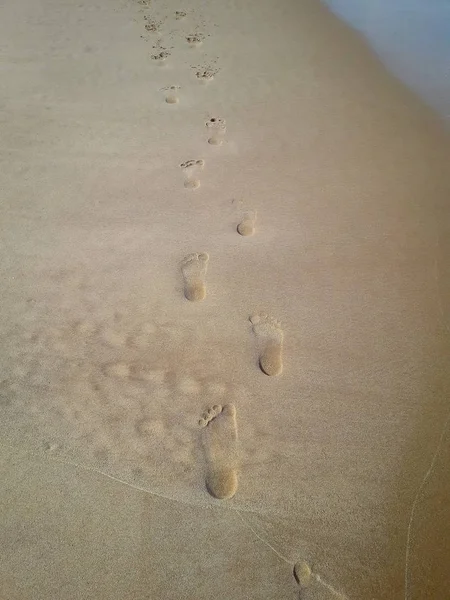 Woman walking on sand beach leaving footprints in the sand. Closeup detail of female feet at Brazil. — Stock Photo, Image