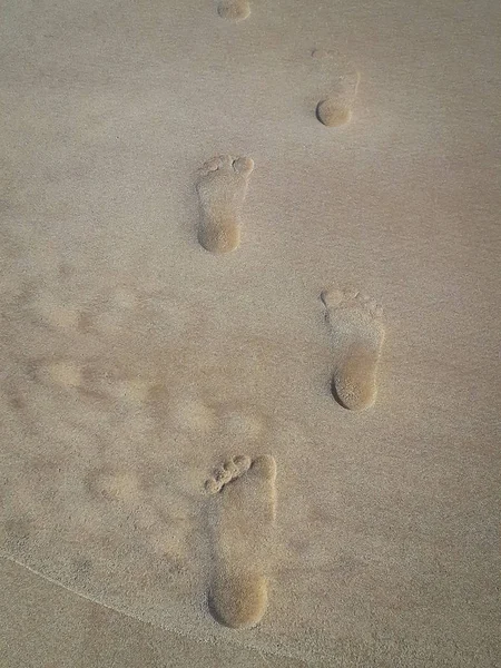 Woman walking on sand beach leaving footprints in the sand. Closeup detail of female feet at Brazil. — Stock Photo, Image