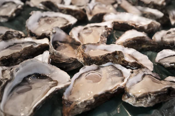 Çok taze istiridye satışa Tsukiji Market, Tokyo, Japonya