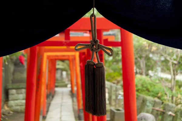 Tori gates at shinto Nezu Shrine, Tokyo, Japan