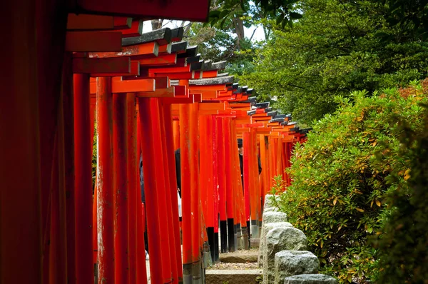 Red - orange tori gates at a shinto shrine, Japan
