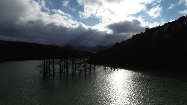 Sukko Lago Artificial Con Cipreses Invierno Anapa — Foto de Stock