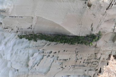 Umman. Sahil. Taşlar ve su.