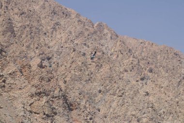 Umman. Sahil. Taşlar ve su.