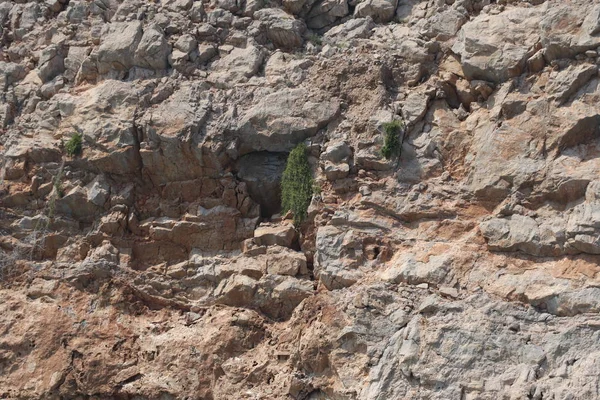 Omán Costa Piedras Agua —  Fotos de Stock