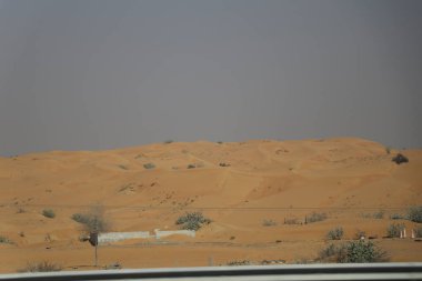 Unated Arap Emirlikleri. Çöl. Seyahat 2018.