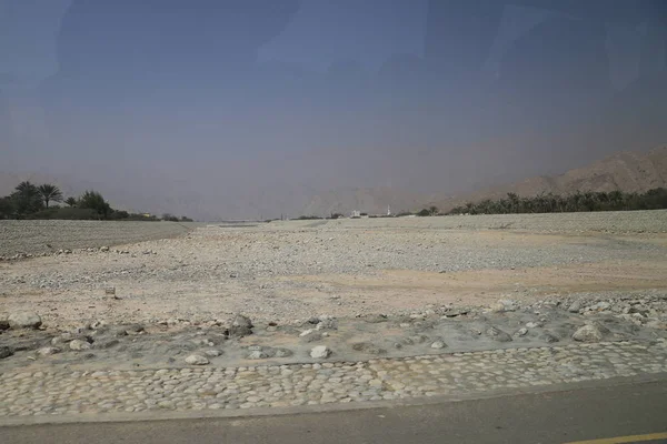 Unated Arab Emirates Desert Palm Road — Stock Photo, Image