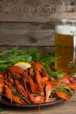 Bira partisi. Bardak bira ile natürmort, kerevit eski ahşap rustik arka planı kerevit. Kopya alanı.