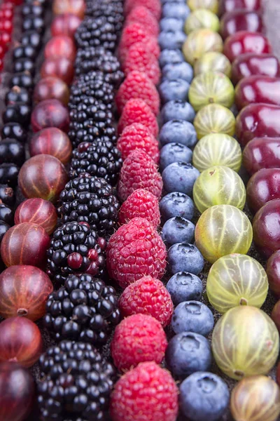 Rijen Van Diverse Vruchten Bessen Zoete Kers Bluberries Frambozen Rode — Stockfoto