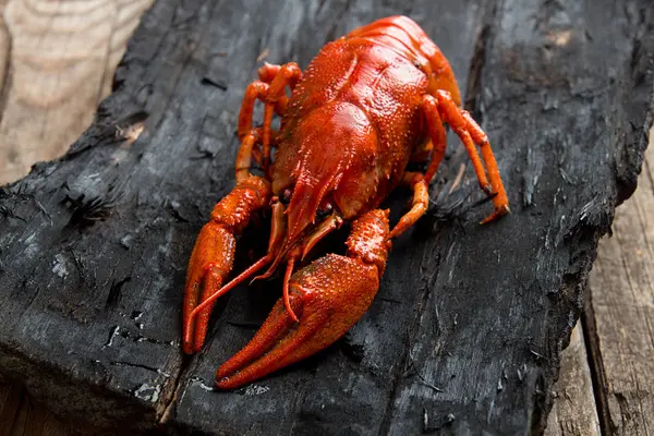 Boiled Cooked Crayfish Crawfish Ready Eat Black Wooden Rustic Background — Stock Photo, Image