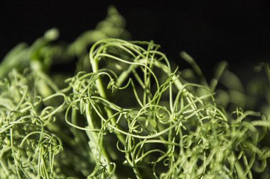 Siyah bir zemin üzerine lahanası bezelye