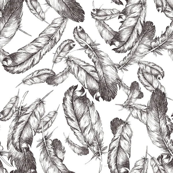 Dibujo blanco y negro ilustración de plumas de pájaro en ba blanco —  Fotos de Stock