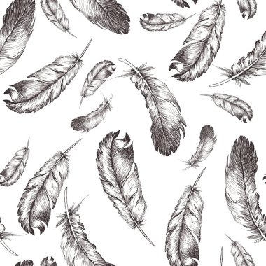 İzole edilmiş kuş tüylerinin beyaz ve siyah çizimi