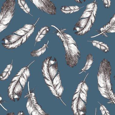 B trendindeki kuş tüylerinin beyaz ve siyah çizimi