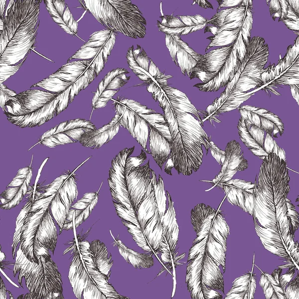 Dibujo blanco y negro ilustración de plumas de pájaro en chive bl —  Fotos de Stock