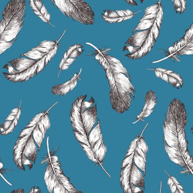 İzole edilmiş kuş tüylerinin beyaz ve siyah çizimi