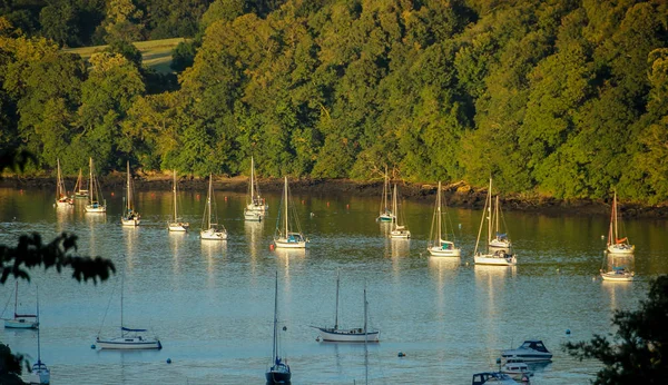 Boats moored on the River Dart, Dittisham, Devon, UK