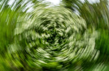 Spiral etkisi arka plan - alıç ağacı