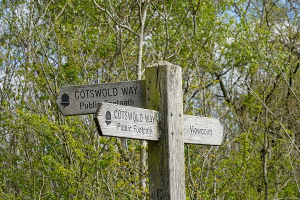 Segnaletica Cotswold Way Stinchcombe Hill Gloucestershire Cotswolds Regno Unito — Foto Stock