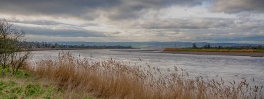 Framilode yakınlarındaki Severn Nehri manzarası, Gloucestershire, İngiltere