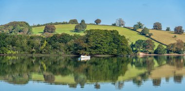 Dart, Dittisham, Devon, Birleşik Krallık 'a demir atmış bir tekne.