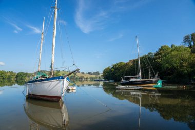 Dittisham yakınlarındaki körfezde demirlemiş tekneler, Devon, Birleşik Krallık